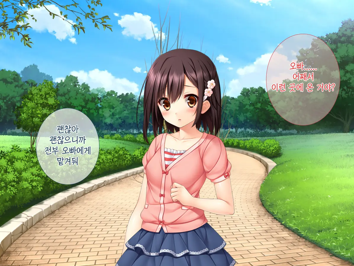 Imouto Ga Suki Sugiru Aniki Ga Kareshi Kara Netoru | 여동생을 엄청 좋아한 오빠가 남자친구에게서 여동생 빼앗기